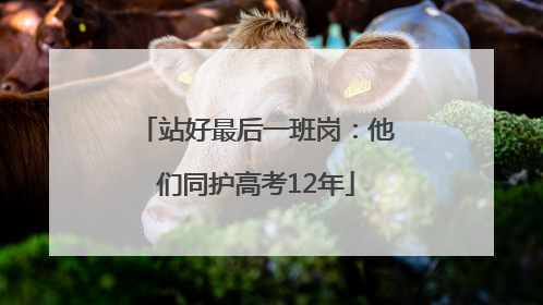 站好最后一班岗：他们同护高考12年