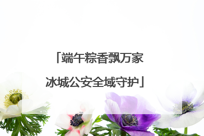 端午粽香飘万家 冰城公安全域守护