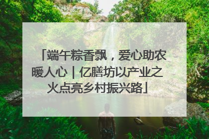 端午粽香飘，爱心助农暖人心｜亿膳坊以产业之火点亮乡村振兴路