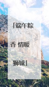 端午粽香 情暖狮城
