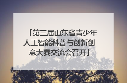 第三届山东省青少年人工智能科普与创新创意大赛交流会召开