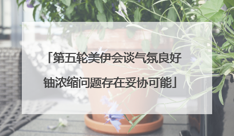 第五轮美伊会谈气氛良好 铀浓缩问题存在妥协可能