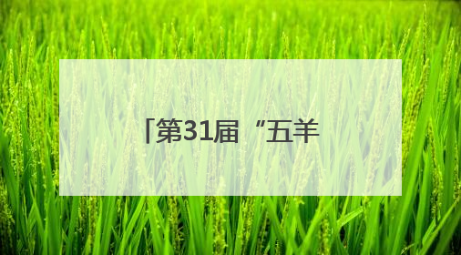 第31届“五羊杯”决赛第二日，王禹博率先挺进冠亚军决赛