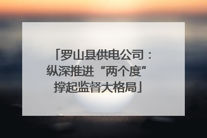 罗山县供电公司：纵深推进“两个度” 撑起监督大格局