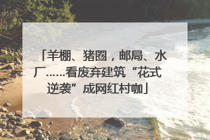 羊棚、猪圈，邮局、水厂……看废弃建筑“花式逆袭”成网红村咖