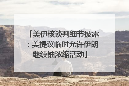 美伊核谈判细节披露：美提议临时允许伊朗继续铀浓缩活动