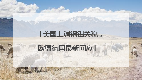 美国上调钢铝关税，欧盟德国最新回应