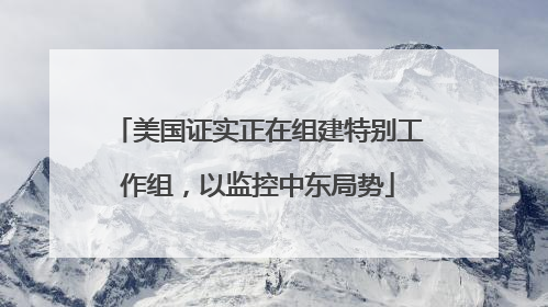 美国证实正在组建特别工作组，以监控中东局势