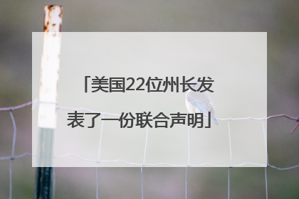 美国22位州长发表了一份联合声明