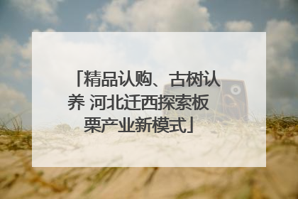 精品认购、古树认养 河北迁西探索板栗产业新模式