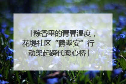 粽香里的青春温度，花堤社区“鹤耋安”行动架起跨代暖心桥