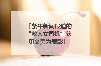 紫牛新闻报道的“救人女司机”获见义勇为表彰