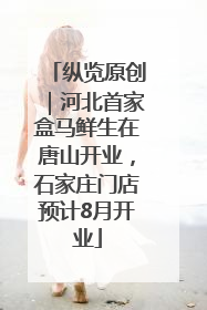 纵览原创｜河北首家盒马鲜生在唐山开业，石家庄门店预计8月开业
