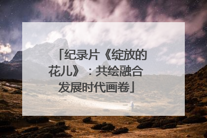 纪录片《绽放的花儿》：共绘融合发展时代画卷