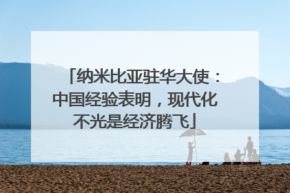 纳米比亚驻华大使：中国经验表明，现代化不光是经济腾飞