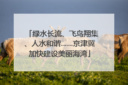 绿水长流、飞鸟翔集、人水和谐……京津冀加快建设美丽海湾