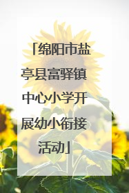 绵阳市盐亭县富驿镇中心小学开展幼小衔接活动
