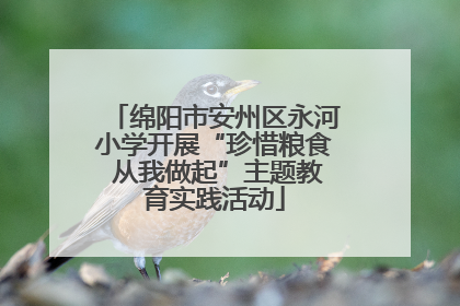 绵阳市安州区永河小学开展“珍惜粮食 从我做起”主题教育实践活动