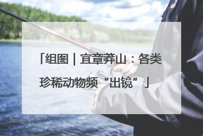 组图｜宜章莽山：各类珍稀动物频“出镜”