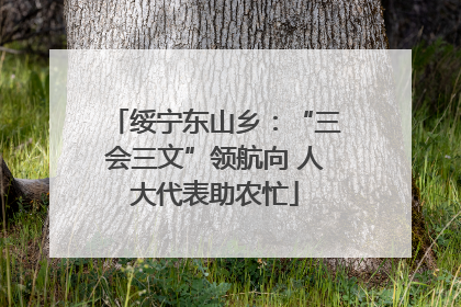 绥宁东山乡：“三会三文”领航向 人大代表助农忙