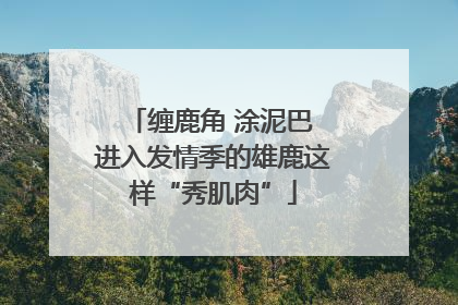 缠鹿角 涂泥巴 进入发情季的雄鹿这样“秀肌肉”