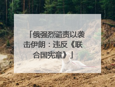 俄强烈谴责以袭击伊朗：违反《联合国宪章》