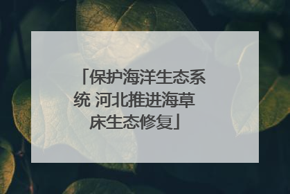 保护海洋生态系统 河北推进海草床生态修复