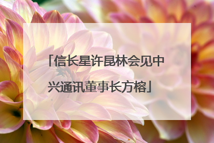信长星许昆林会见中兴通讯董事长方榕