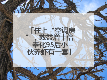 住上“空调房”，效益增十倍 奉化95后小伙养虾有一套