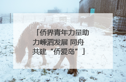 侨界青年力量助力嵊泗发展 同舟共建“侨爱岛”