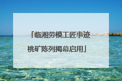 临湘劳模工匠事迹桃矿陈列揭幕启用