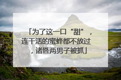 为了这一口“甜”，连干活的蜜蜂都不放过，诸暨两男子被抓