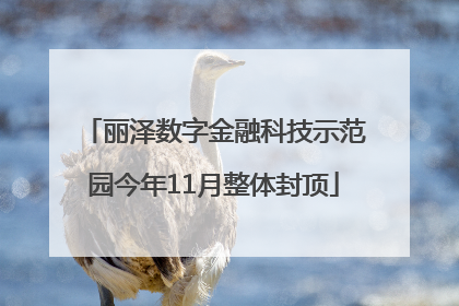 丽泽数字金融科技示范园今年11月整体封顶