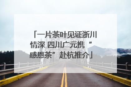 一片茶叶见证浙川情深 四川广元携“感恩茶”赴杭推介