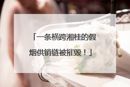 一条横跨湘桂的假烟供销链被摧毁！