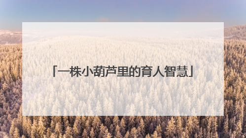 一株小葫芦里的育人智慧