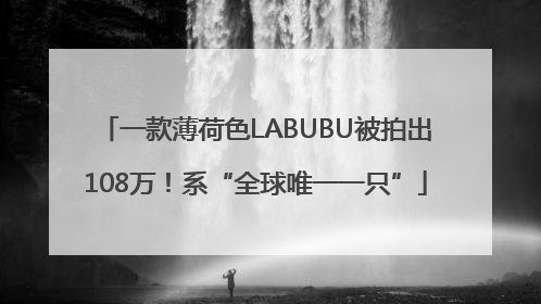 一款薄荷色LABUBU被拍出108万！系“全球唯一一只”