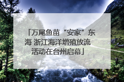 万尾鱼苗“安家”东海 浙江海洋增殖放流活动在台州启幕