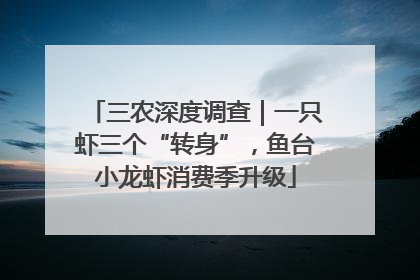 三农深度调查｜一只虾三个“转身”，鱼台小龙虾消费季升级