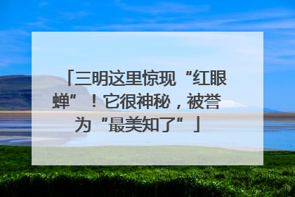 三明这里惊现“红眼蝉”！它很神秘，被誉为“最美知了”