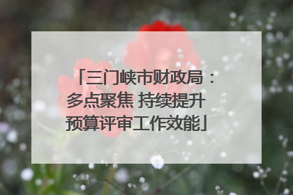三门峡市财政局：多点聚焦 持续提升预算评审工作效能