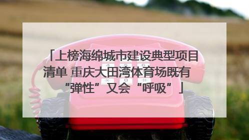 上榜海绵城市建设典型项目清单 重庆大田湾体育场既有“弹性”又会“呼吸”