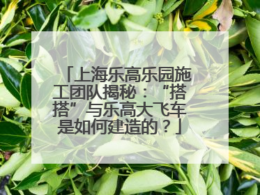 上海乐高乐园施工团队揭秘：“搭搭”与乐高大飞车是如何建造的？