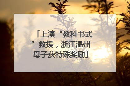 上演“教科书式”救援，浙江温州母子获特殊奖励