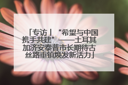 专访丨“希望与中国携手共建”——土耳其加济安泰普市长期待古丝路重镇焕发新活力