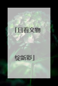 且看文物绽新彩