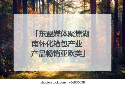 东盟媒体聚焦湖南怀化箱包产业 产品畅销亚欧美