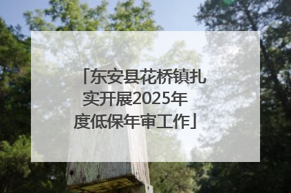 东安县花桥镇扎实开展2025年度低保年审工作