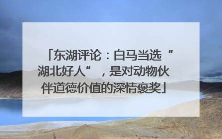 东湖评论：白马当选“湖北好人”，是对动物伙伴道德价值的深情褒奖