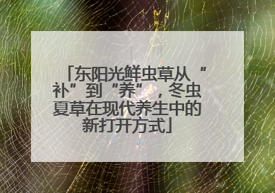 东阳光鲜虫草从“补”到“养”，冬虫夏草在现代养生中的新打开方式